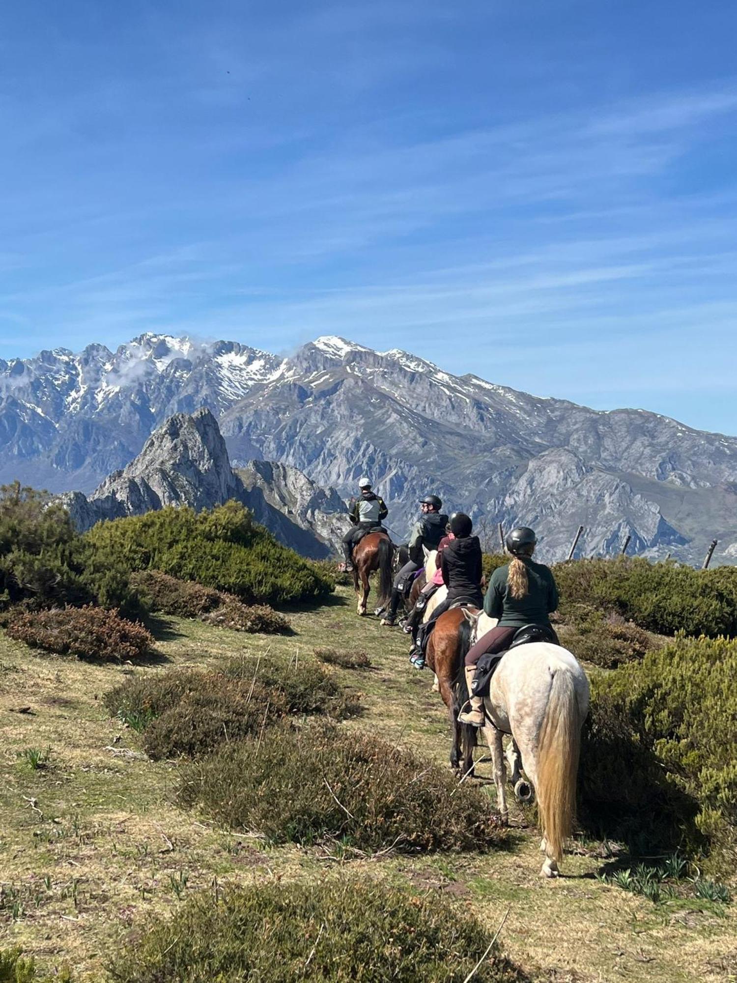 Hosteria Picos De Europa Potes Dış mekan fotoğraf