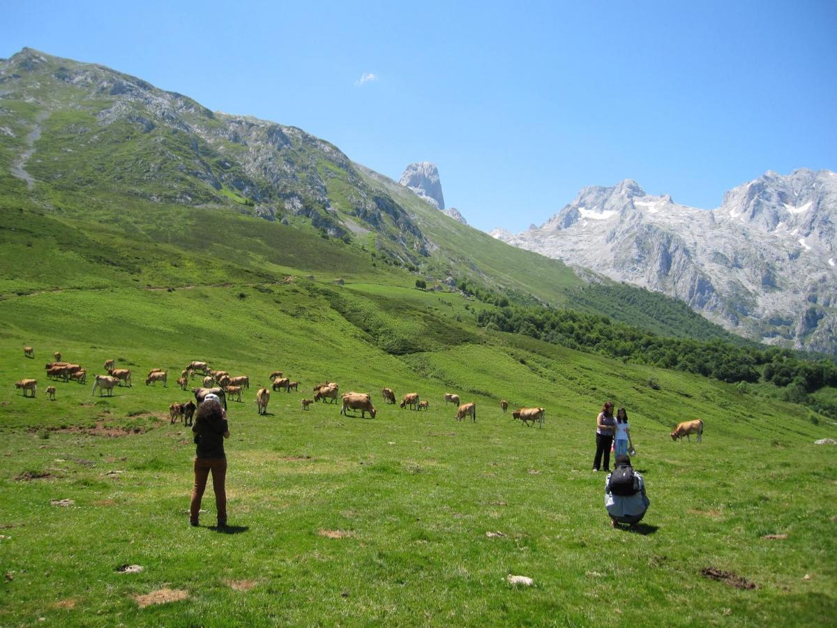 Hosteria Picos De Europa Potes Dış mekan fotoğraf