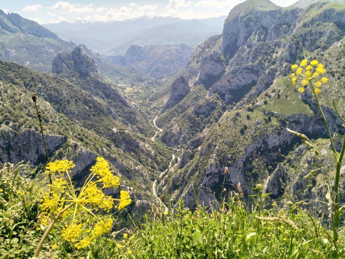 Hosteria Picos De Europa Potes Dış mekan fotoğraf