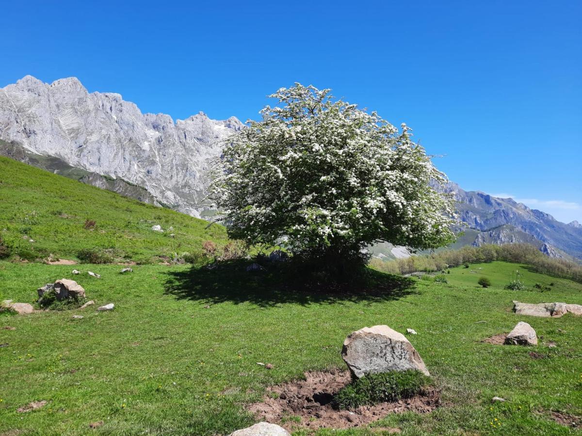 Hosteria Picos De Europa Potes Dış mekan fotoğraf